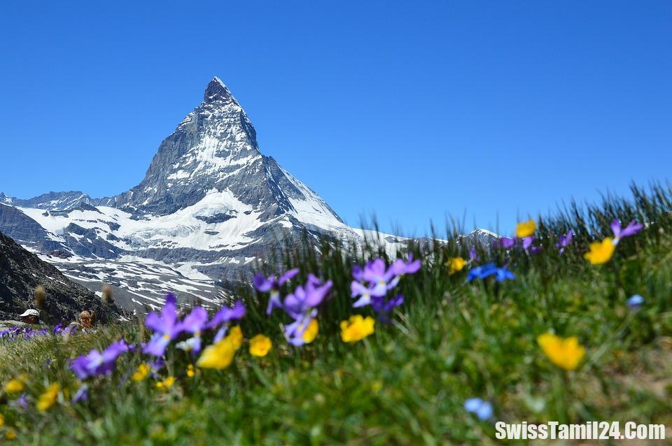 most beautiful nature in switzerland,switzerland nature places,switzerland nature wallpaper,switzerland nature beauty