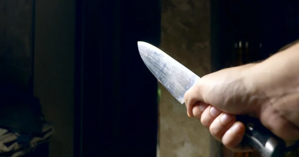 சுவிட்சர்லாந்து குடும்ப தாக்குதல், வோ கன்டோன் செய்திகள், Faoug stabbing, Switzerland crime news, Swiss Tamil News, குடும்ப கத்திக்குத்து சம்பவம், Geneva arrest news, Vaud police investigation, Swiss family attack, French suspect arrested
