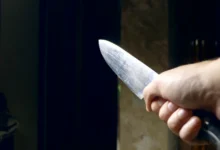 சுவிட்சர்லாந்து குடும்ப தாக்குதல், வோ கன்டோன் செய்திகள், Faoug stabbing, Switzerland crime news, Swiss Tamil News, குடும்ப கத்திக்குத்து சம்பவம், Geneva arrest news, Vaud police investigation, Swiss family attack, French suspect arrested