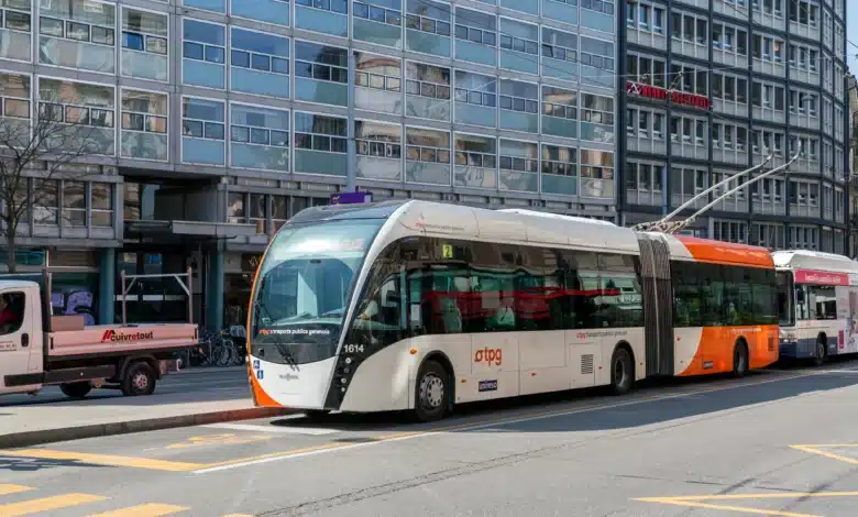 N6a 1
