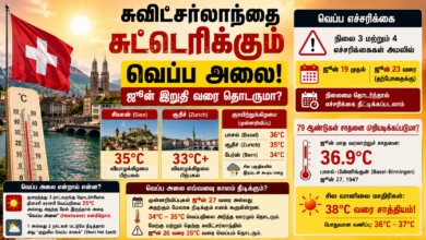 சுவிட்சர்லாந்தை சுட்டெரிக்கும் வெப்ப அலை! – ஜூன் இறுதி வரை தொடருமா? 8 6a79959e 6aab 4252 aebe a4ccdde3abd8