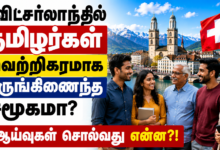 சுவிட்சர்லாந்தில் தமிழர்கள் வெற்றிகரமாக ஒருங்கிணைந்த சமூகமா? – ஆய்வுகள் சொல்வது என்ன? 1 Swiss Tamils