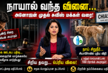 நாயால் வந்த வினை... அனோஜன் முதல் சுவிஸ் மக்கள் வரை! 2 01fe59f4 8b11 43fa 9d56 25f4240e0bba