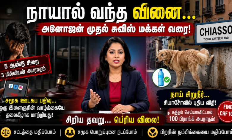 நாயால் வந்த வினை... அனோஜன் முதல் சுவிஸ் மக்கள் வரை! சிறப்பு செய்திப்பார்வை 1 01fe59f4 8b11 43fa 9d56 25f4240e0bba