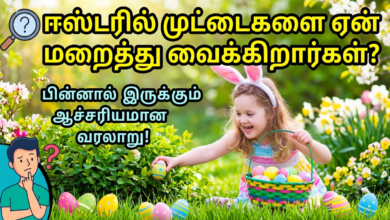 "ஈஸ்டரில் முட்டைகளை ஏன் மறைத்து வைக்கிறார்கள்? பின்னால் இருக்கும் ஆச்சரியமான வரலாறு! 5 Gemini Generated Image j4ev9yj4ev9yj4ev