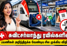சுவிட்சர்லாந்து ரயில்களில் பயணிகள்