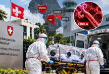 Abuja Ebola Response News Composite