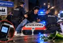 Nighttime Police Arrest on Lagerstrasse