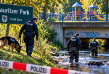 Police Search at Pauritzer Park