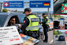 Swiss Border Traffic Stop with Fine Overlays